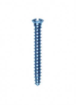Bone Fixation Screws